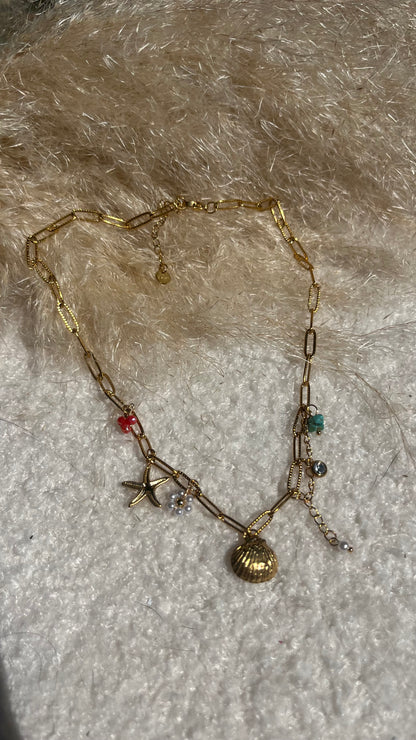 Collier Coquillage
