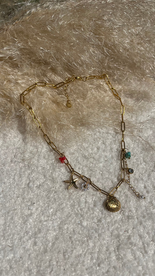 Collier Coquillage